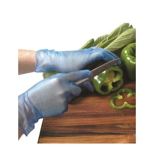 Bastion Vinyl Blue Powder Free Large Glove 100PK