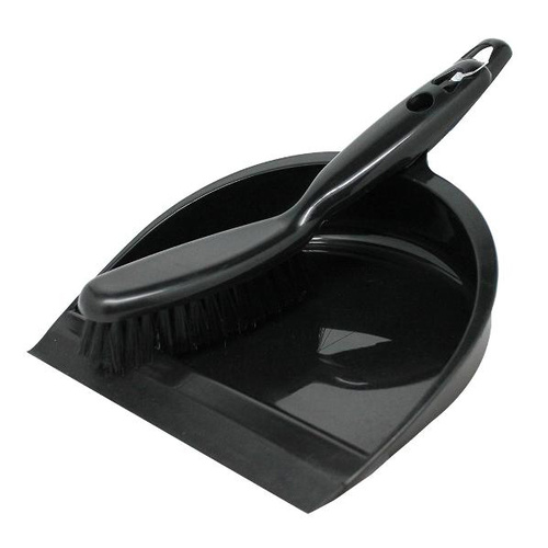 Dust Pan With Brush